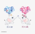 ⁦ملصق احتفال مولود جديد-ولد-بنت-It’s a Boy-It’s a Girl-فيل-بالون-زهور⁩ - الصورة ⁦2⁩