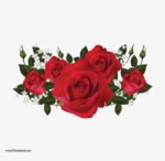 ⁦ملصق زهور عملاقة-ألوان زاهية-أوراق وفروع الشجر-Flowers⁩ - الصورة ⁦2⁩