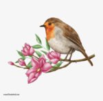 ⁦ملصق ديكور-طائر عصفور-زهور  أوراق الشجر⁩ - الصورة ⁦2⁩