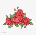 ⁦ملصق-باقة من الزهور-حجم كبير-ألوان زاهية⁩ - الصورة ⁦2⁩