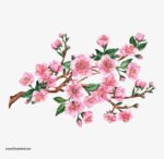 ⁦ملصق ديكور عملاق-فرع شجرة-زهور-أوراق الشجر⁩ - الصورة ⁦2⁩
