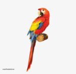 ⁦ملصق عملاق-طائر الببغاء-فرع شجرة-ألوان زاهية⁩ - الصورة ⁦2⁩