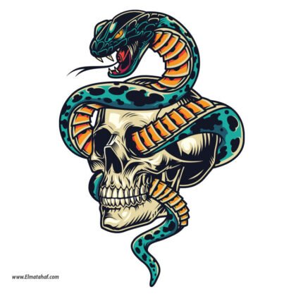 استيكر-ملصق ديكور-جمجمة-ثعبان-كوبرا-Cobra Snake
